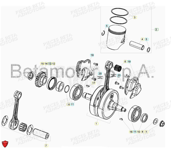 Vilebrequin Piston Contre Arbre BETA Pieces BETA RR RACING 2T 250 - (2018)