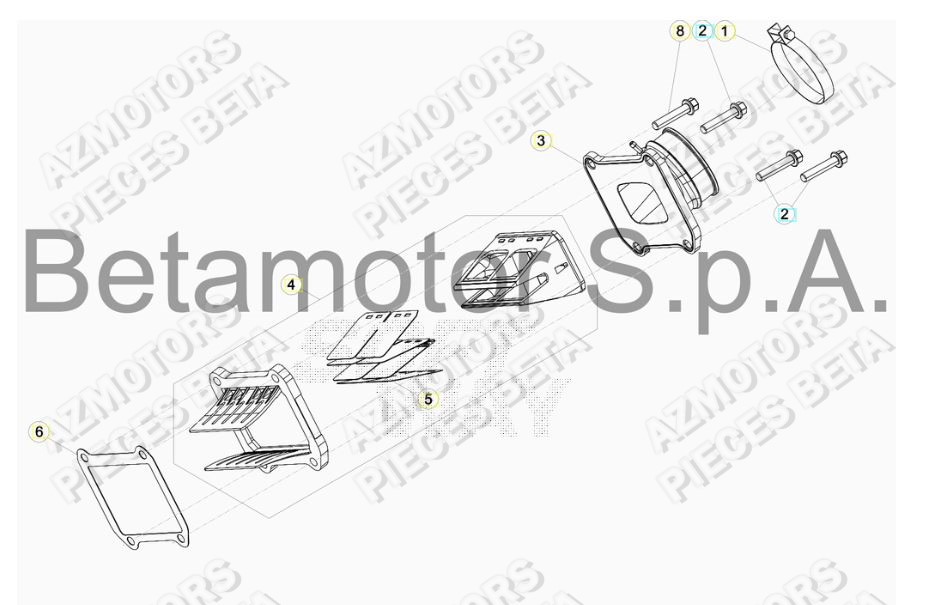 Admission BETA Pieces BETA RR RACING 2T 250 - (2019)