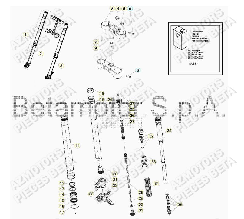 Fourche BETA Pieces BETA RR RACING 2T 250 - (2019)