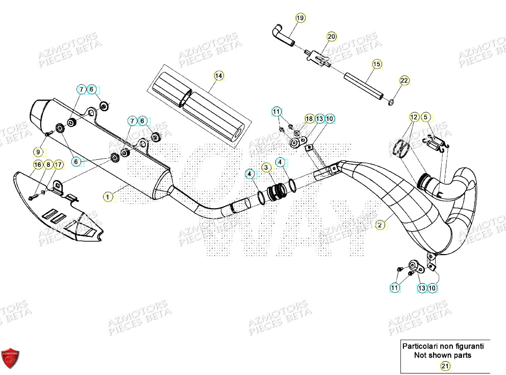 ECHAPPEMENT pour RR 250 RACING 2024