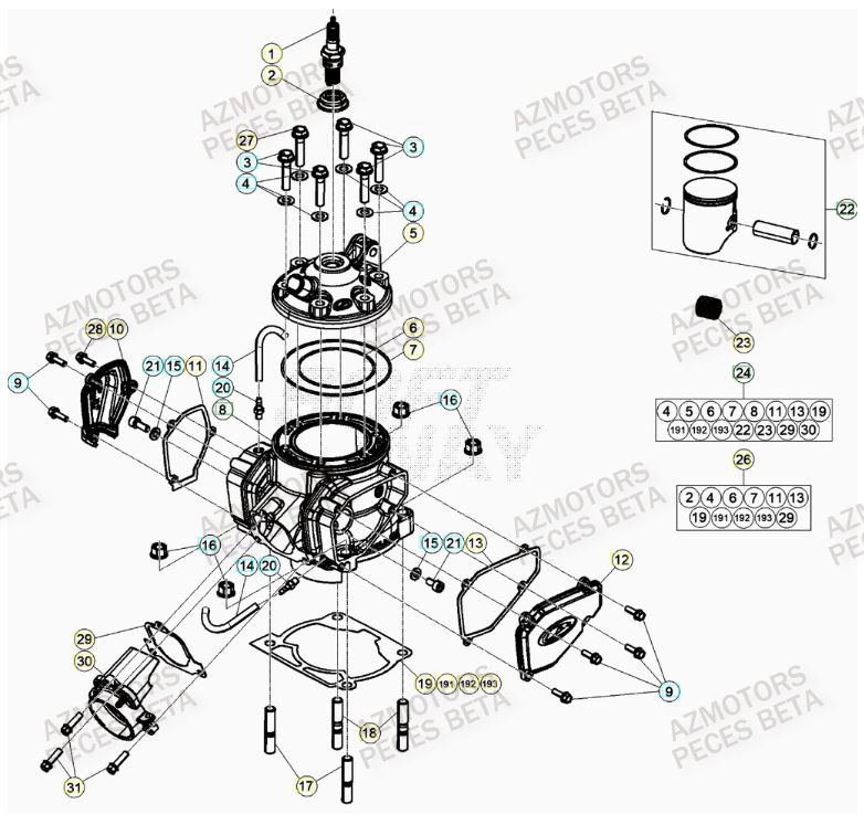 CYLINDRE BETA Pieces BETA RR 2T 250 - (2020)