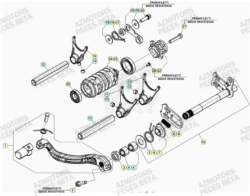 SELECTEUR DE VITESSES BETA RR 250 RACING MY20