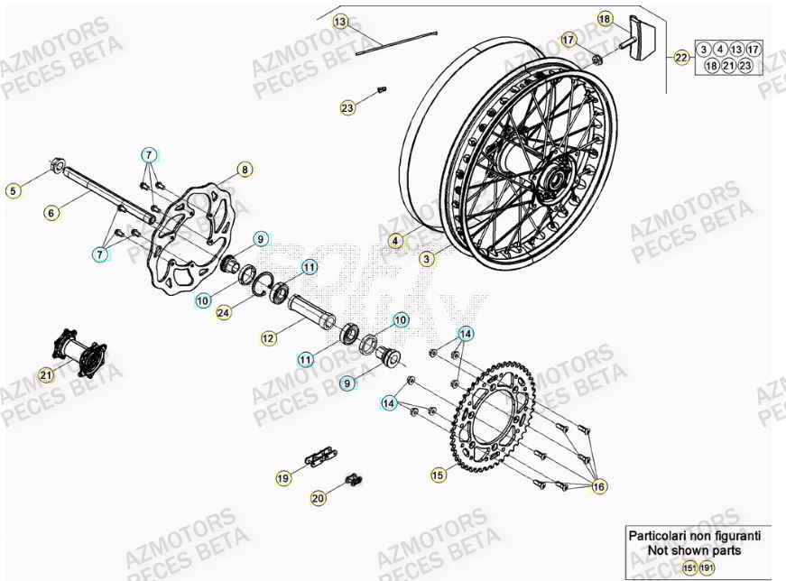 Roue Arriere BETA Pieces BETA RR RACING 2T 250 - (2021)