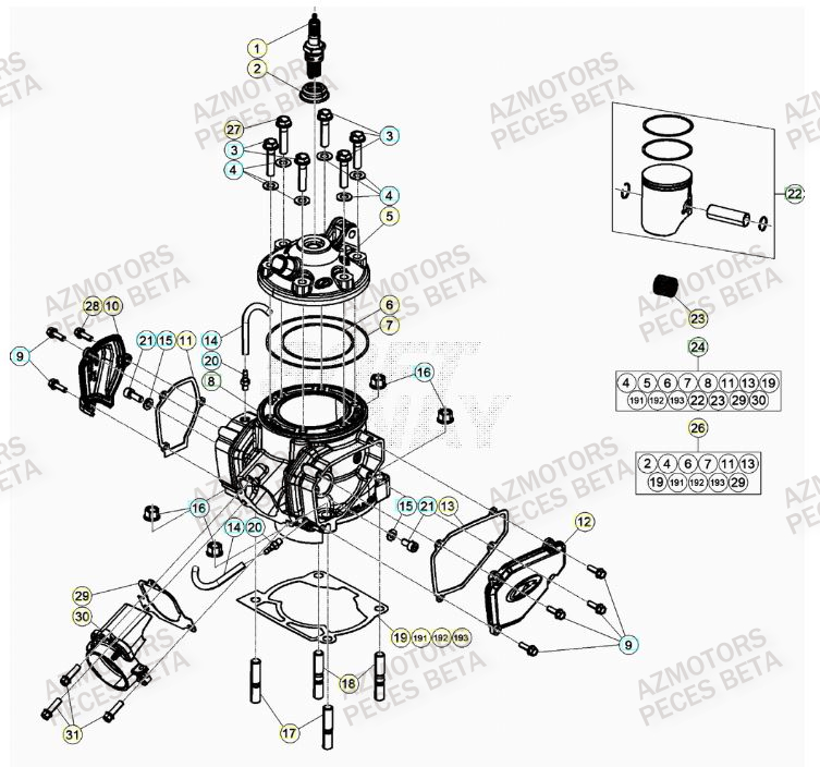 Cylindre BETA Pieces BETA RR RACING 2T 250 - (2022)