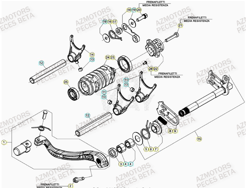 SELECTEUR_DE_VITESSES BETA Pieces BETA RR 2T 250 - (2022)