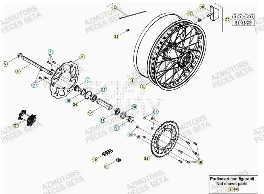 Roue Arriere BETA Pieces BETA RR RACING 2T 250 - (2023)