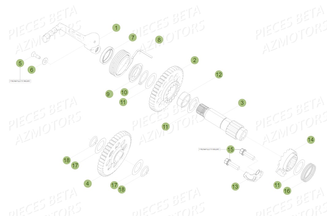 Kick Starter BETA Pièces BETA RR 2T 300 - (2014)