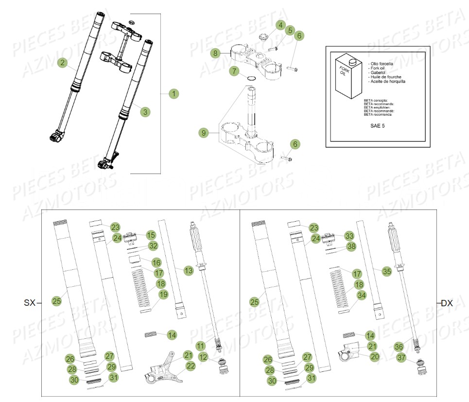 Fourche BETA Pieces BETA RR 2T 300 - (2019)