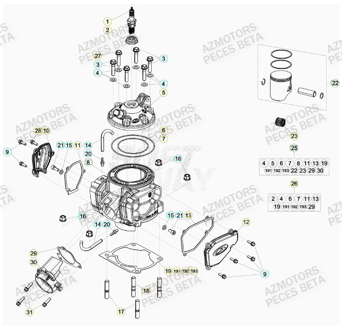 Cylindre BETA Pieces BETA RR 2T 300 - (2020)