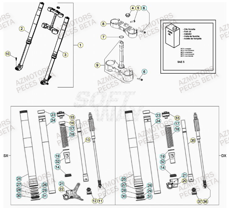 Fourche BETA Pieces BETA RR 2T 300 - (2020)