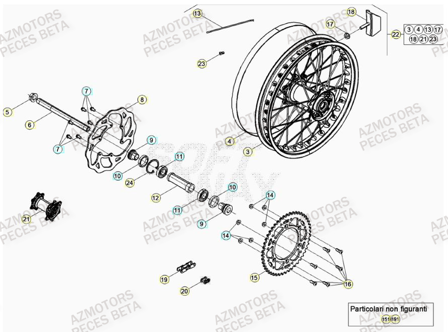 Roue Arriere BETA Pieces BETA RR 2T 300 - (2020)