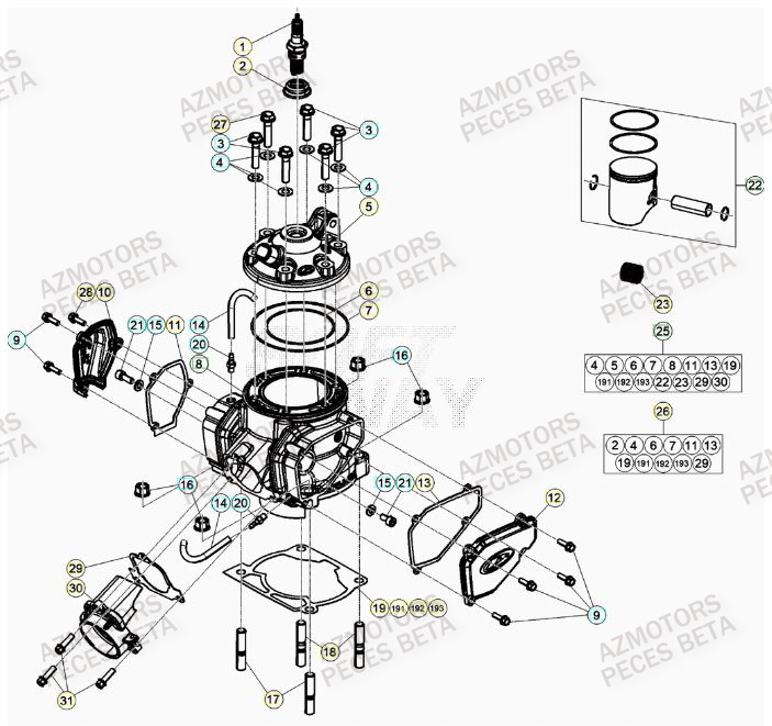 Cylindre BETA Pieces BETA RR 2T 300 - (2021)