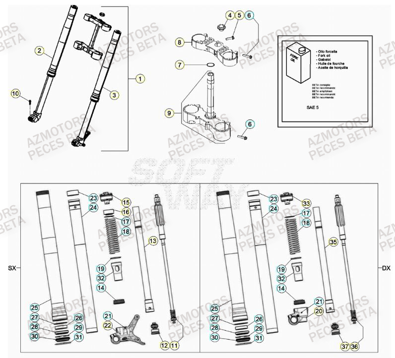 Fourche BETA Pieces BETA RR 2T 300 - (2021)