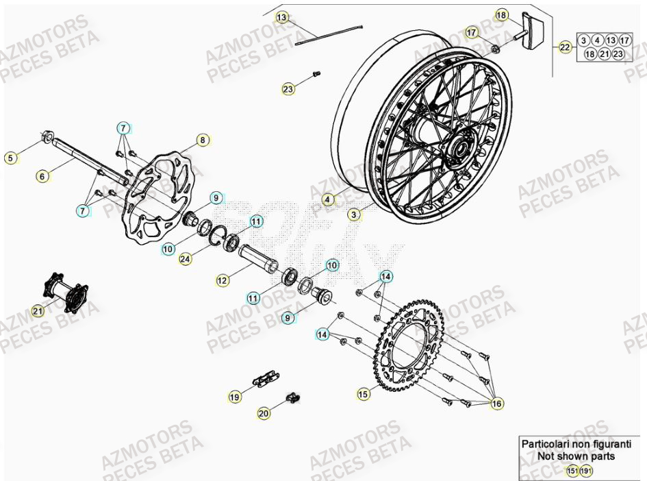 Roue Arriere BETA Pieces BETA RR 2T 300 - (2021)
