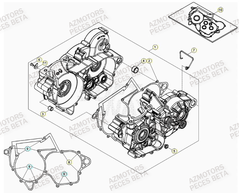 CARTER MOTEUR pour RR 300 2T 2023