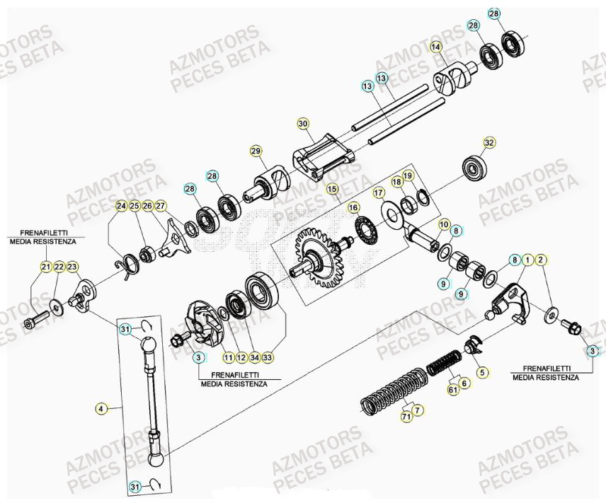 CULBUTEUR pour RR 300 2T 2023