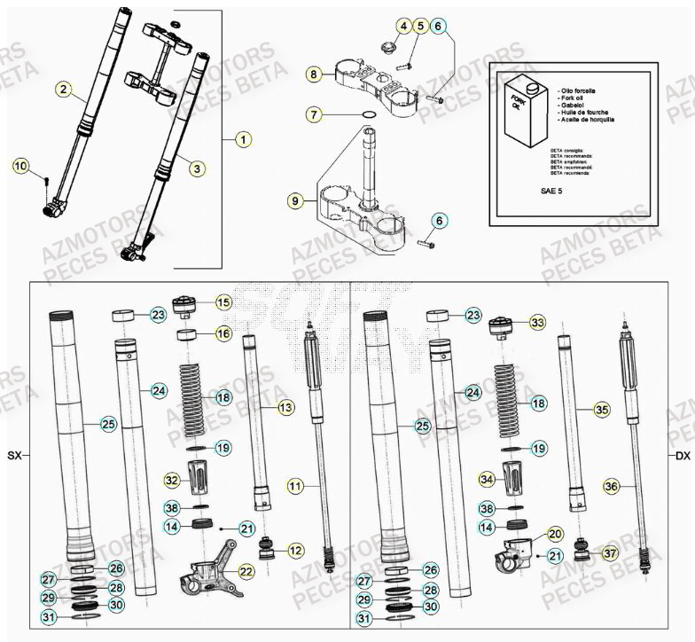 Fourche BETA Pieces BETA RR 2T 300 - (2023)
