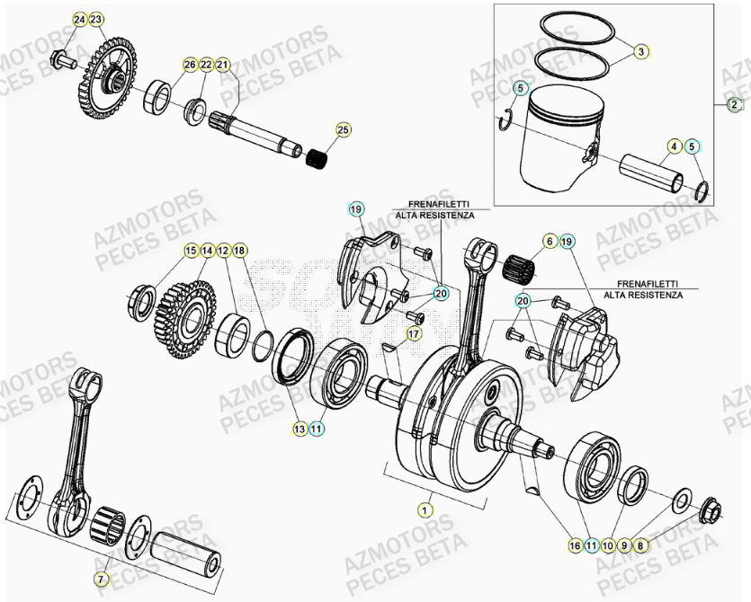 Vilebrequin BETA Pieces BETA RR 2T 300 - (2023)