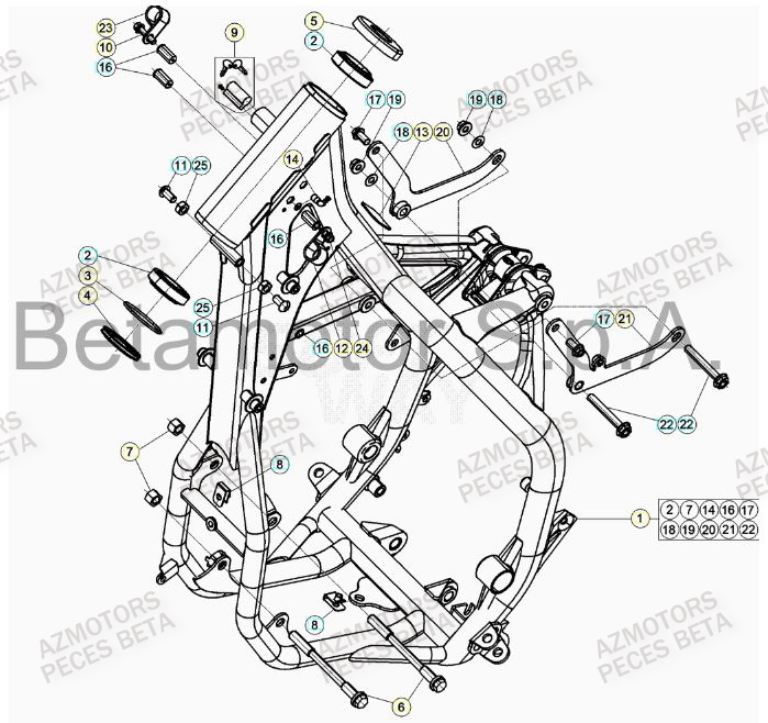 Chassis BETA Pieces BETA RR 2T 300 HOLCOMBE REPLICA - (2019)