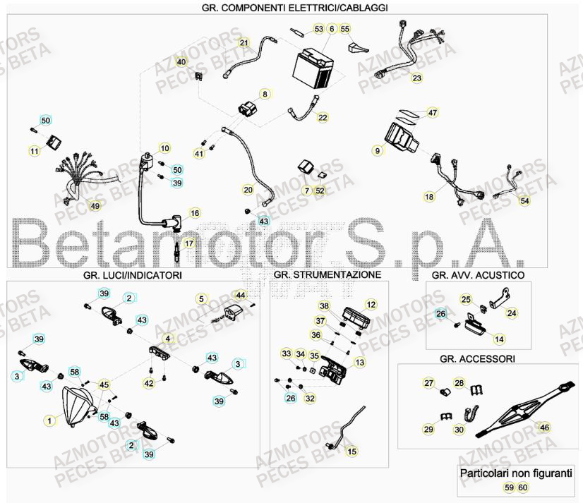 EQUIPEMENT_ELECTRIQUE BETA Pieces BETA RR 2T 300 HOLCOMBE REPLICA - (2019)