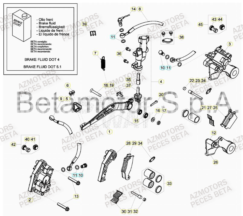 Freins BETA Pieces BETA RR 2T 300 HOLCOMBE REPLICA - (2019)