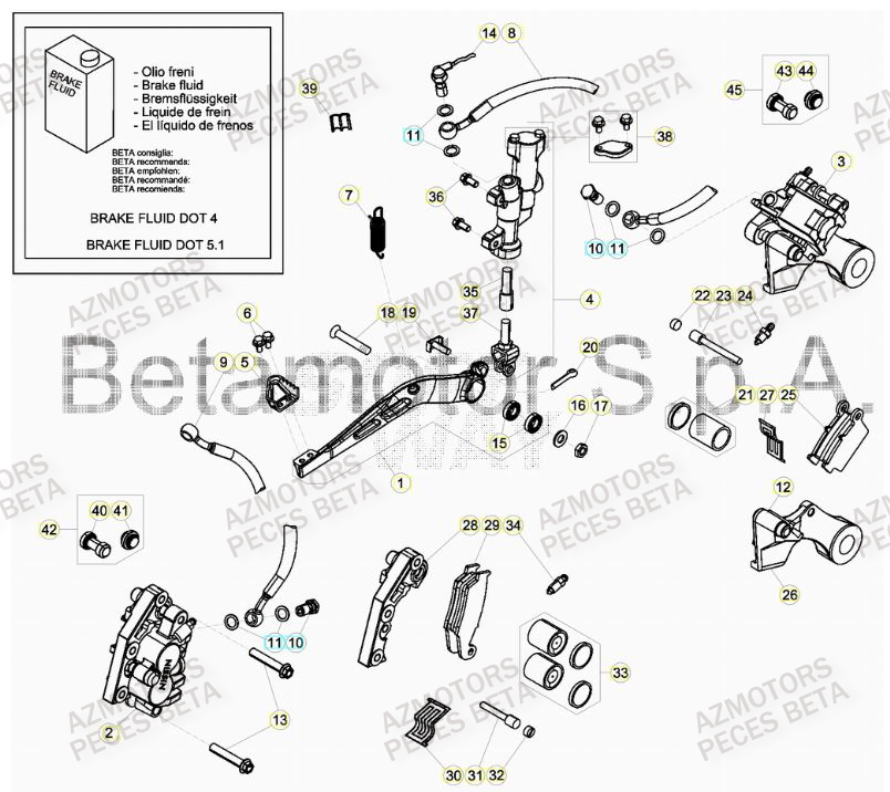 FREINS BETA Pieces BETA RR 2T 300 HOLCOMBE REPLICA - (2019)