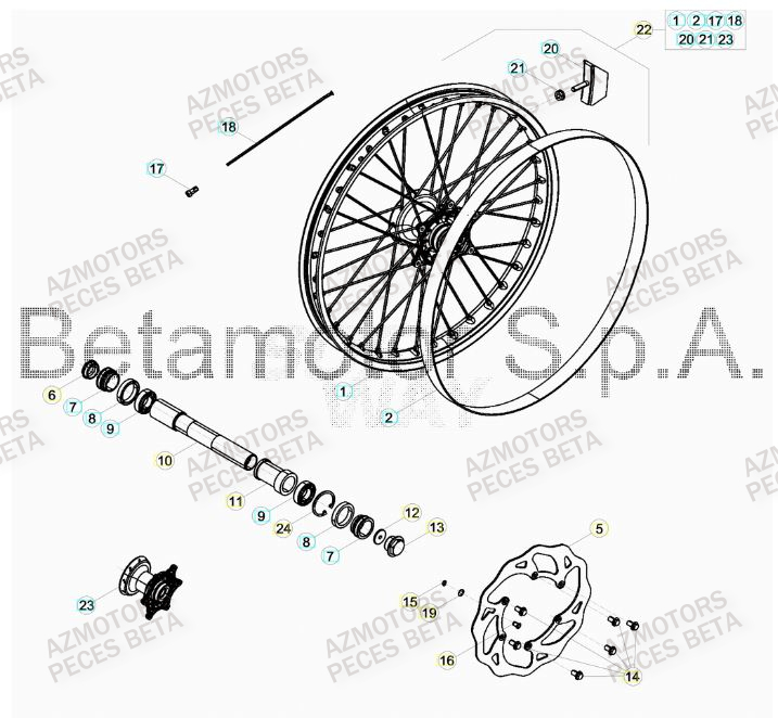 ROUE_AVANT BETA Pieces BETA RR 2T 300 HOLCOMBE REPLICA - (2019)