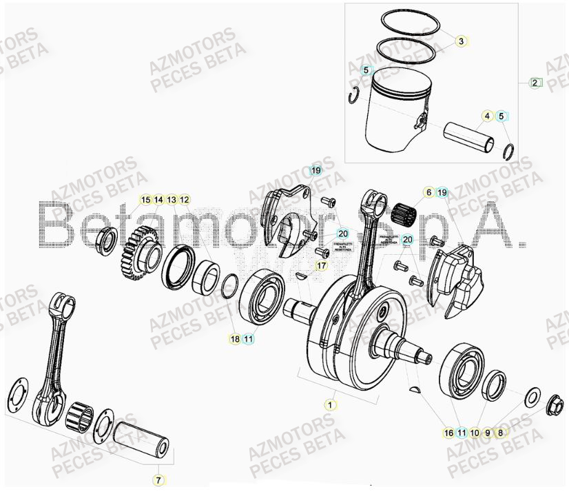 VILEBREQUIN pour RR 300 HOLCOMBE MY19