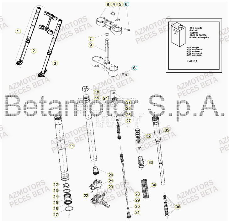 Fourche BETA Pieces BETA RR 2T 300 RACING - (2019)