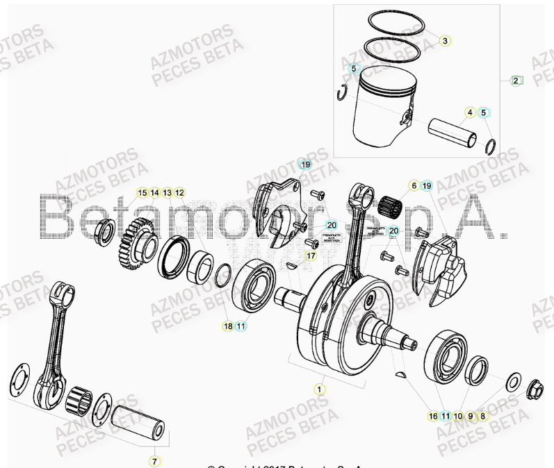 VILEBREQUIN BETA Pieces BETA RR 2T 300 RACING - (2019)