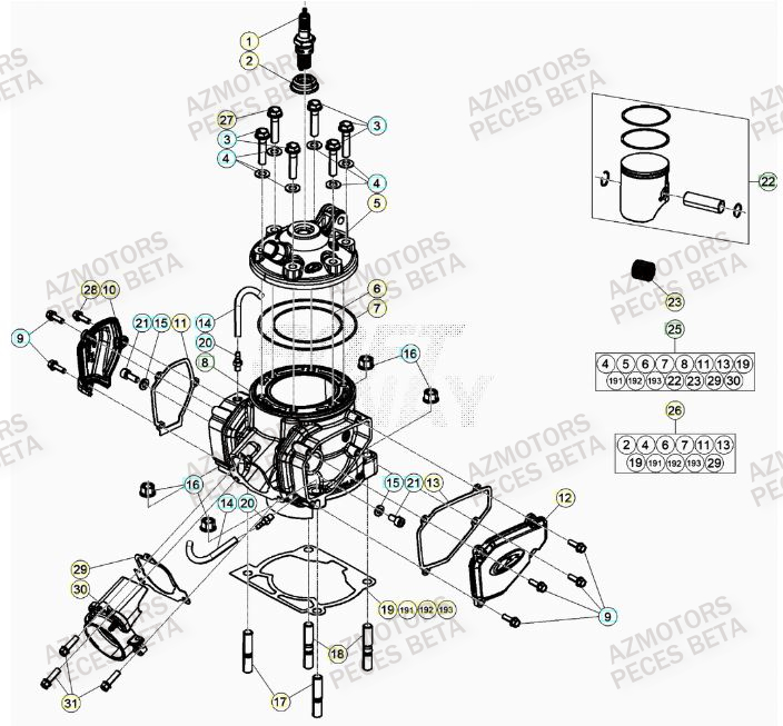 Cylindre BETA Pieces BETA RR 2T 300 RACING - (2020)