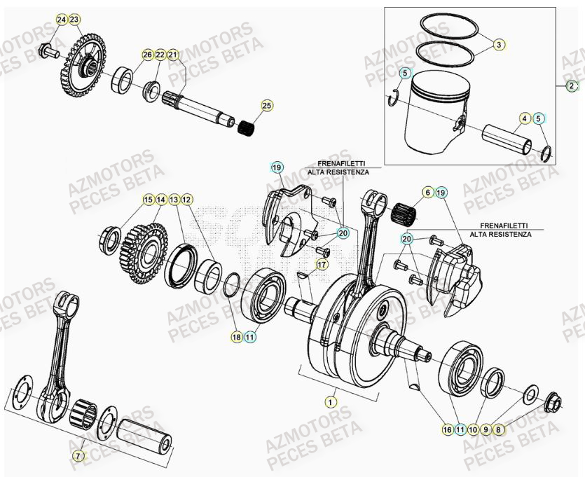 Vilebrequin BETA Pieces BETA RR 2T 300 RACING - (2020)
