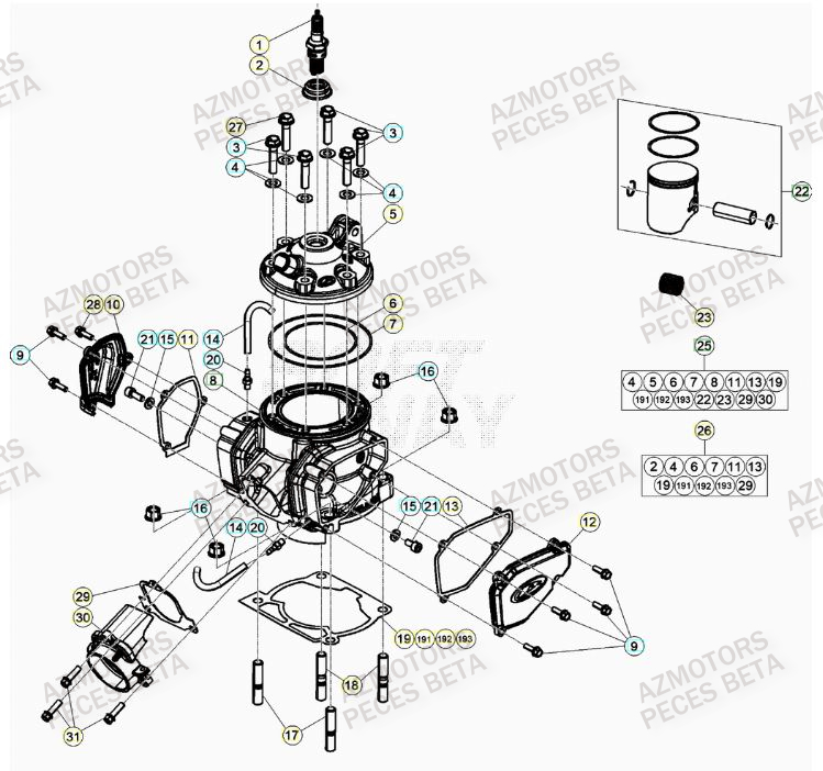 Cylindre BETA Pieces BETA RR 2T 300 RACING - (2021)