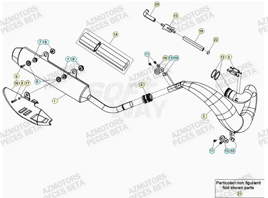 Echappement BETA Pieces BETA RR 2T 300 RACING - (2021)