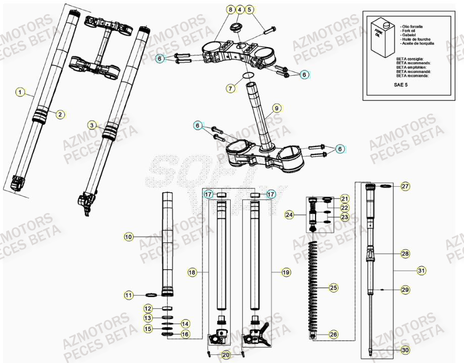 Fourche BETA Pieces BETA RR 2T 300 RACING - (2022)