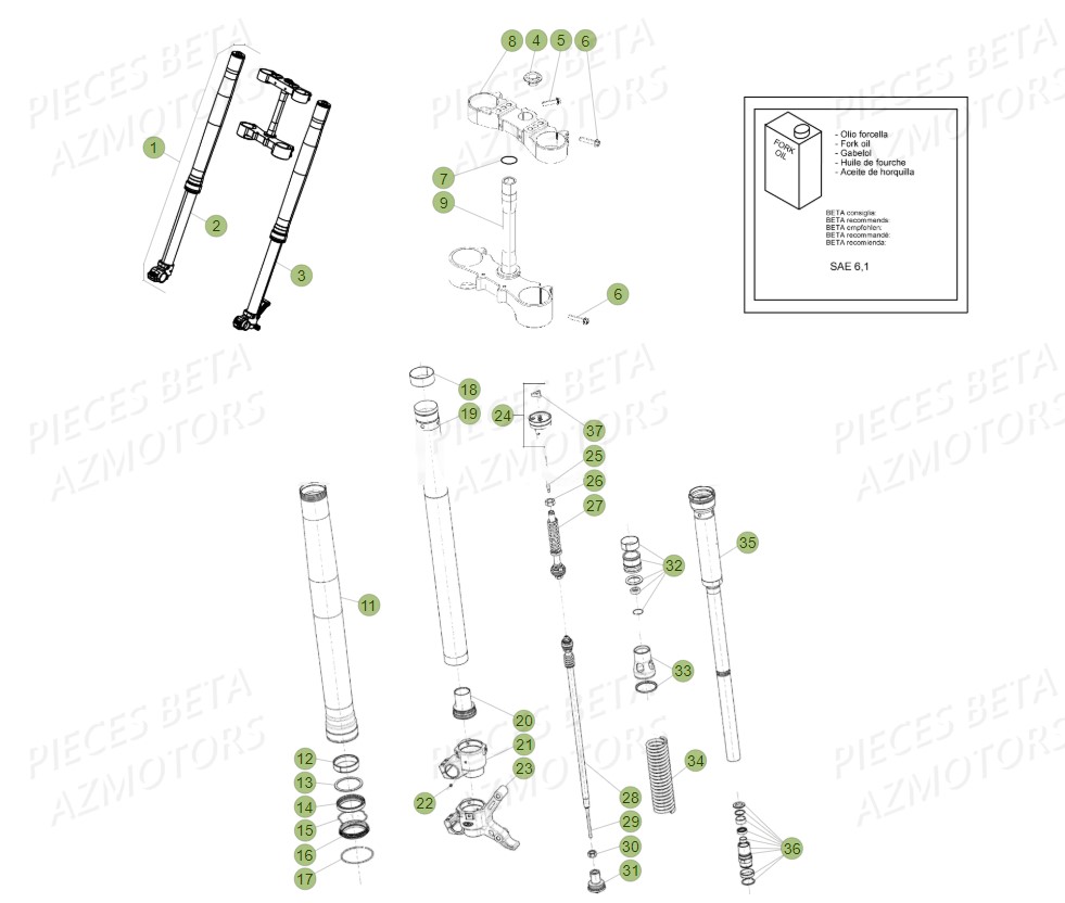 Fourche BETA Pieces BETA RR 2T 300 RACING - (2018)