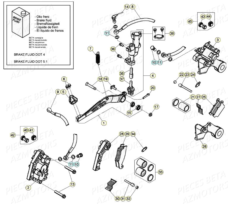 FREINS pour RR 350 4T 2020