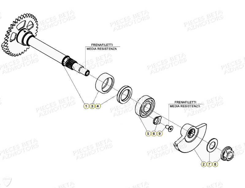 Arbre D Equilibrage BETA Pièces Beta RR 4T 350 Enduro - (2021)