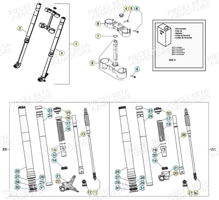 Fourche BETA Pièces Beta RR 4T 350 Enduro - (2021)