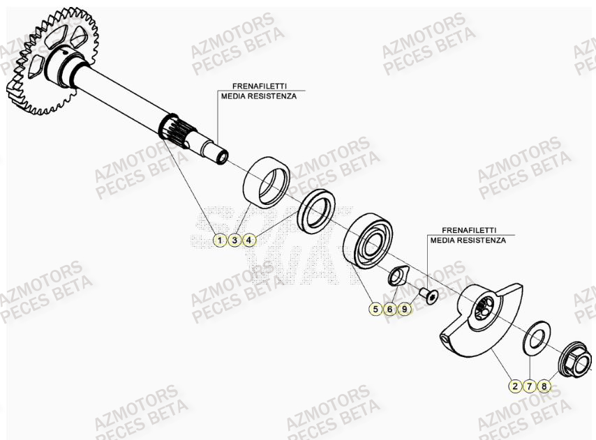 Arbre Equilibrage BETA Pièces Beta RR 4T 350 Enduro - (2022)