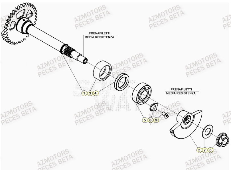 Arbre Equilibrage BETA Pièces Beta RR 4T 350 Enduro - (2023)