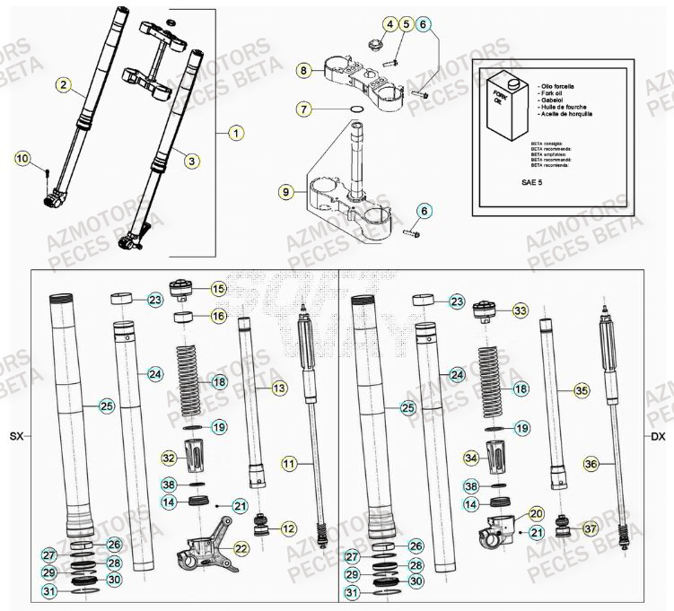Fourche BETA Pièces Beta RR 4T 350 Enduro - (2023)
