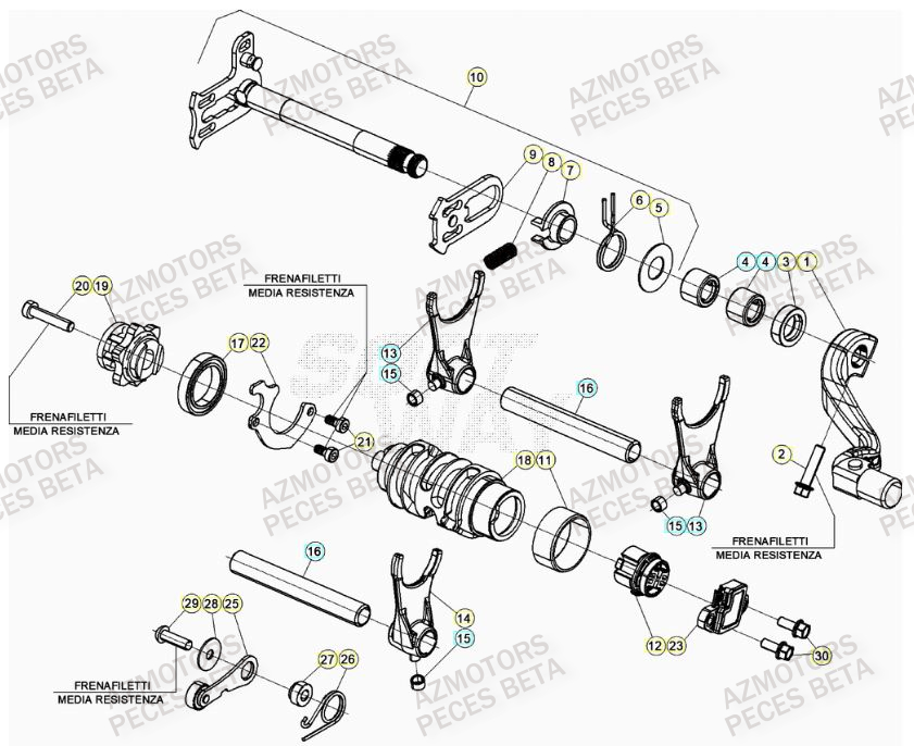 SELECTEUR_DE_VITESSES BETA Pièces Beta RR 4T 350 Enduro - (2023)