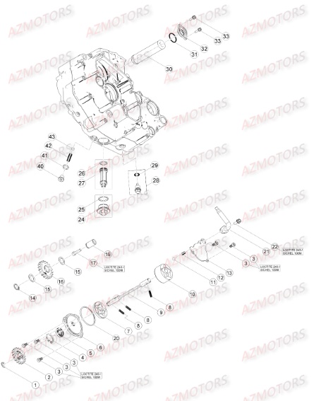 CIRCUIT DE LUBRIFICATION pour RR 350 4T EFI 16