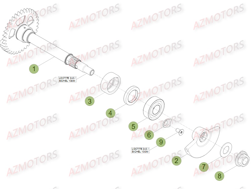 Vilebrequin Piston Contre Arbre BETA Pièces Beta RR 4T 350 Enduro - 2016