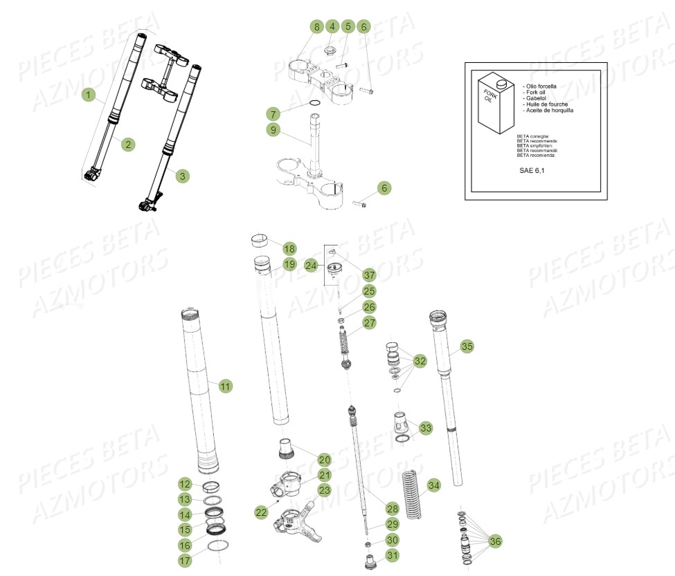 Fourche BETA Pièces BETA RR 4T RACING 350 - (2018)

