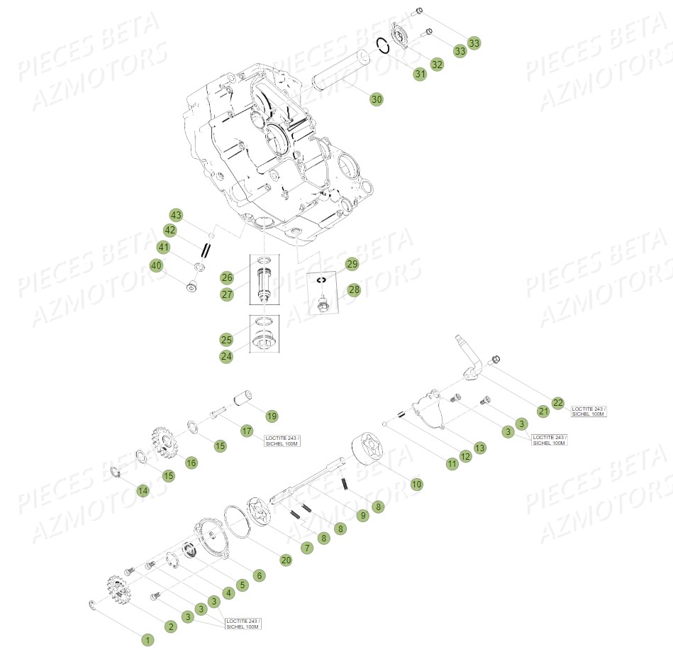 POMPE A HUILE pour RR 350 RACING 18