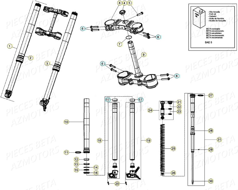 Fourche BETA Pièces BETA RR 4T RACING 350 - (2020)

