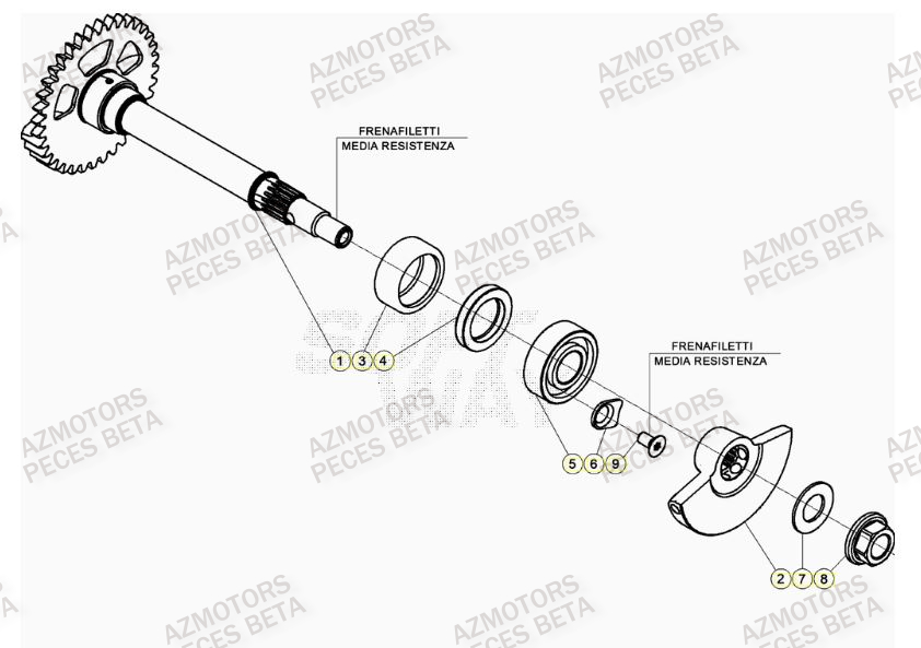 Arbre Equilibrage BETA Pièces BETA RR 4T RACING 350 - (2021)


