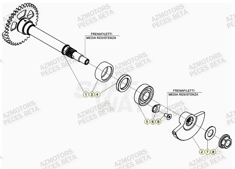 Arbre Equilibrage BETA Pièces BETA RR 4T RACING 350 - (2023)

